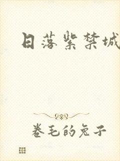 日落紫禁城封面