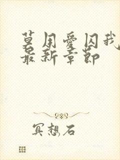 莫用爱囚我小说最新章节