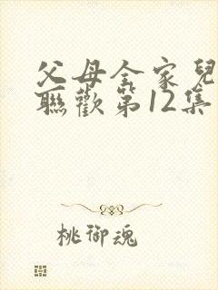 父母全家儿女大联欢第12集封面