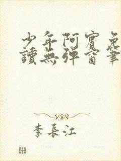 少年阿宾免费阅读无弹窗笔趣阁