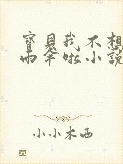 宝贝我不想带小雨伞啦小说