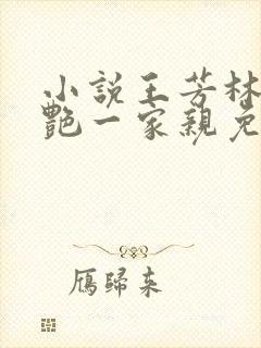 小说王芳林峰刘艳一家亲免费阅读