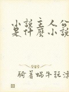 小说主人公陈枫是什么小说