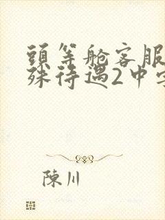 头等舱客服的特殊待遇2中字