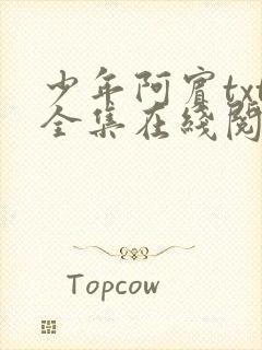 少年阿宾txt全集在线阅读