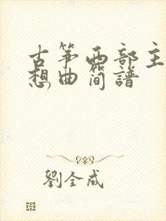 古筝西部主题畅想曲简谱