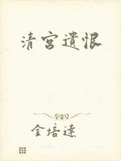 清宫遗恨封面
