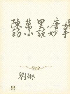 陈万里,唐嫣然的小说妙手大仙医封面