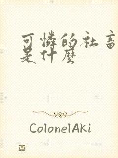 可怜的社畜讲的是什么