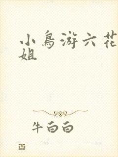 小鸟游六花的姐姐封面