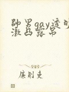 帅男gay透明激凸露吊