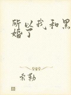 所以我和黑粉结婚了