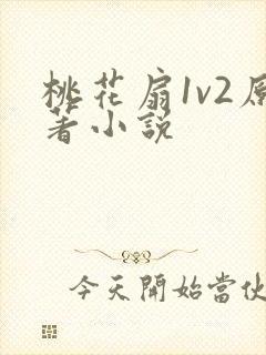 桃花扇1v2原著小说封面