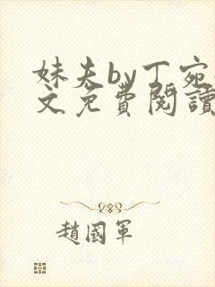 妹夫by丁宛全文免费阅读笔趣阁