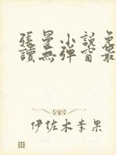 张曼小说免费阅读无弹窗最新章节