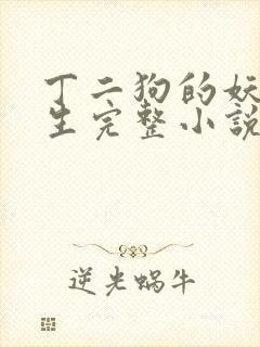 丁二狗的妖孽人生完整小说笔
