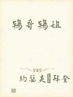 鸨哥鸨姐封面