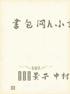书包网h小说