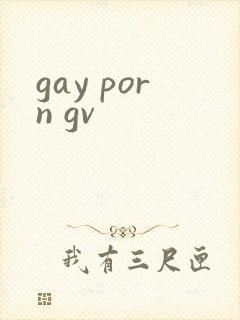 gay porn gv