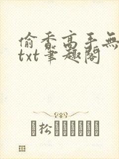 偷香高手无删减txt笔趣阁