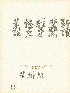 叶轻离裴靳墨小说免费阅读笔趣阁封面