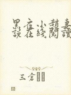 黑夜小赵妻子小说在线阅读