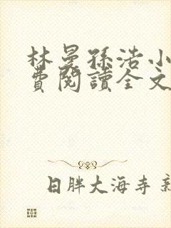 林曼孙浩小说免费阅读全文最新章节封面