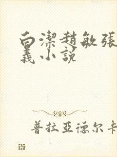 白洁赵敏张倩高义小说