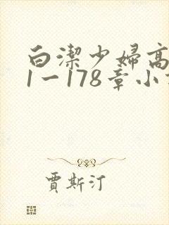 白洁少妇高义第1一178章小说