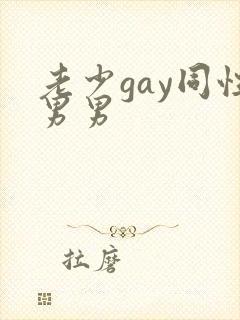 老少gay同性男男封面