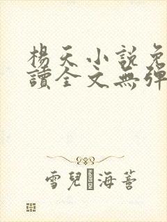 杨天小说免费阅读全文无弹窗