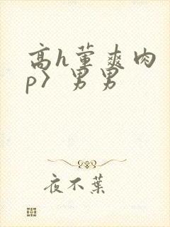 高h荤爽肉〈np〉男男