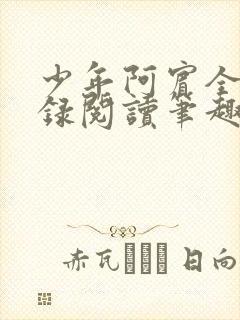 少年阿宾全文目录阅读笔趣阁封面