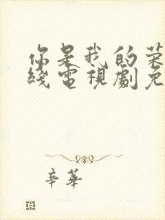 你是我的荣耀在线电视剧免费观看