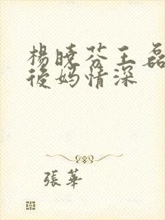 杨晓芬王磊小说后妈情深