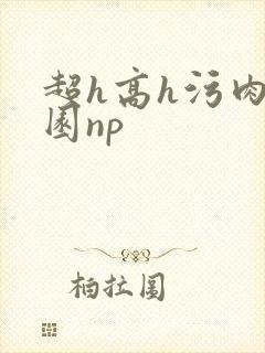 超h高h污肉校园np封面