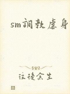 sm调教虐身文
