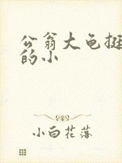 公翁大龟挺进我的小封面