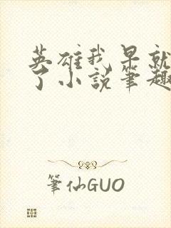 英雄我早就不当了小说笔趣阁txt