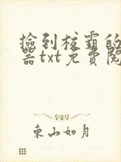 捡到校霸的遥控器txt免费阅读笔趣阁