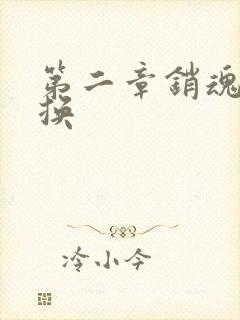 第二章销魂的交换