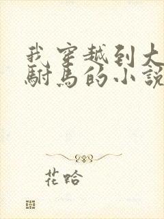 我穿越到大唐当驸马的小说