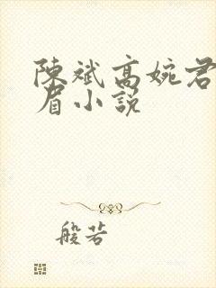 陈斌高婉君赵心眉小说封面