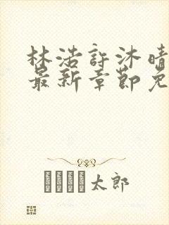 林浩许沐晴小说最新章节免费阅读全文