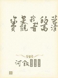 你是我的荣耀免费观看高清