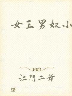 女王男奴小说封面