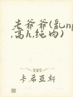 老爷爷(乱np,高h,纯肉)