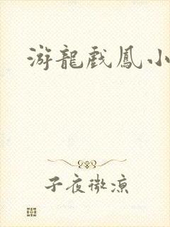 游龙戏凤小说封面