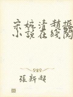 宋婉清赵振国的小说在线阅读封面