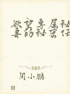 欲望专属秘书人妻的秘密任务电影